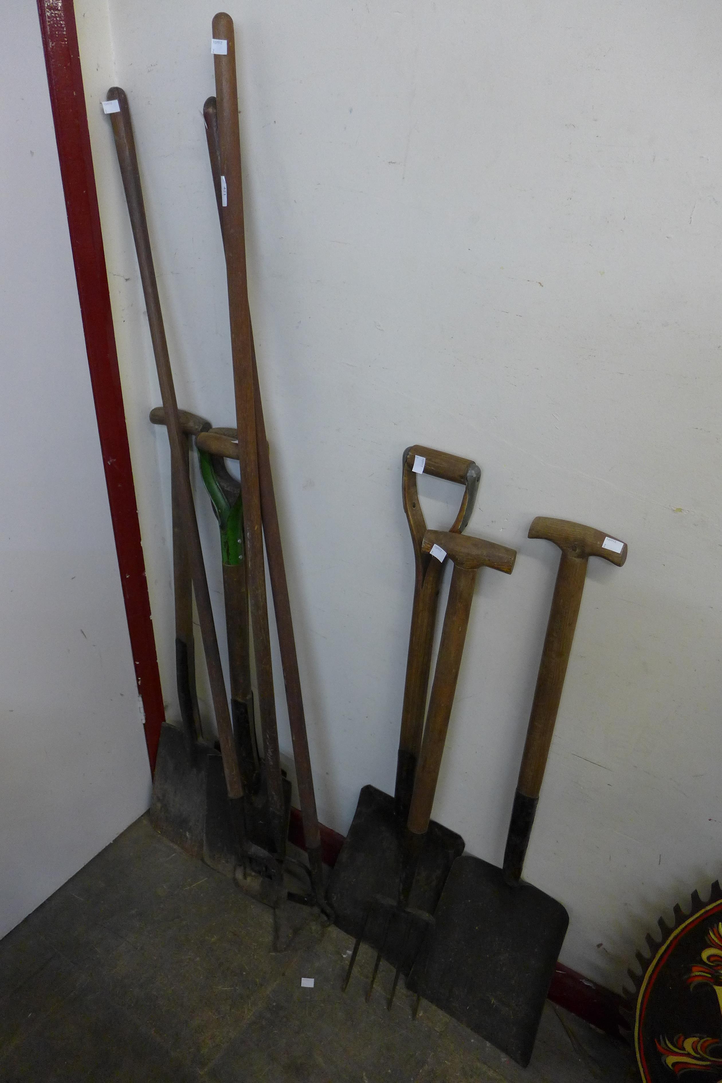 Assorted gardening tools