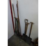 Assorted gardening tools