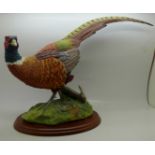 A large figure of a pheasant