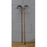 Two walking sticks with silver collars