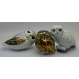 Three Royal Crown Derby paperweights; Little Owl with imari decoration in blue, red and gold