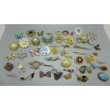 Forty seven brooches and three pin badges