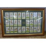 A framed set of England 1995 Rugby World Cup collectors cards
