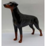 A Beswick Doberman