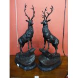 A pair of large French style bronze stags, on black marble plinths, 72cms h