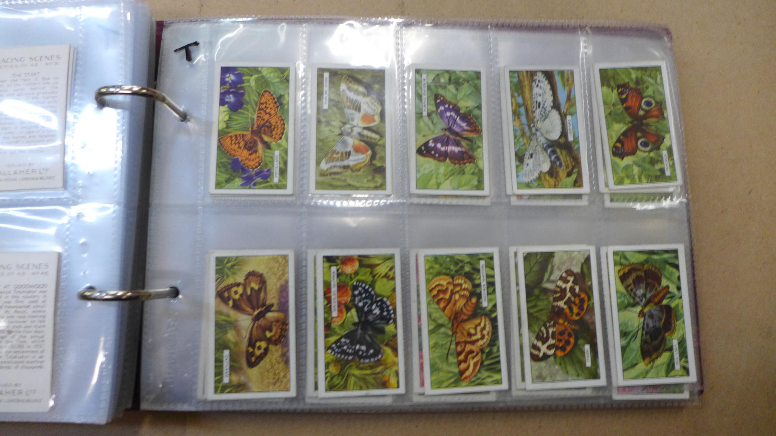 Cigarette cards; an album of eleven sets (missing just two cards), noted Players 'Derby and Grand - Bild 8 aus 12