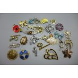 Assorted brooches