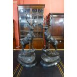 A pair of large French style bronze stags, on black marble plinths, 72cms h