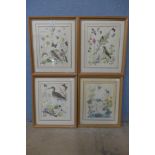 A set of four ornithological prints, framed