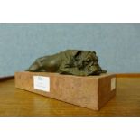 A bronze figure of a bull dog, on rouge marble plinth