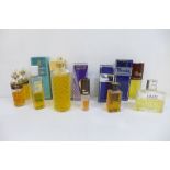 A collection of vintage perfumes (13)