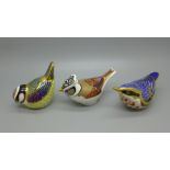 Three Royal Crown Derby Bird Paperweights - Collectors Guild Exclusive Crested Tit, with 21st