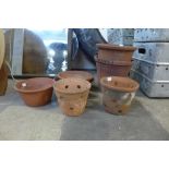 A pair of vintage terracotta orchid plant pots and five other terracotta plant pots