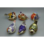 Six Royal Crown Derby bird paperweights