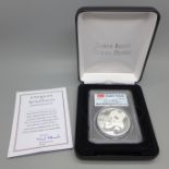 A 2019 .999 pure silver Chinese Panda 10 Yn coin, cased