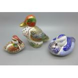 Three Royal Crown Derby paperweights - Platinum Duck, one of a series of five Platinum editions of