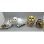 Four Royal Crown Derby paperweights - Snowy Owl, Collector's Guild Exclusive, gold stopper, boxed,