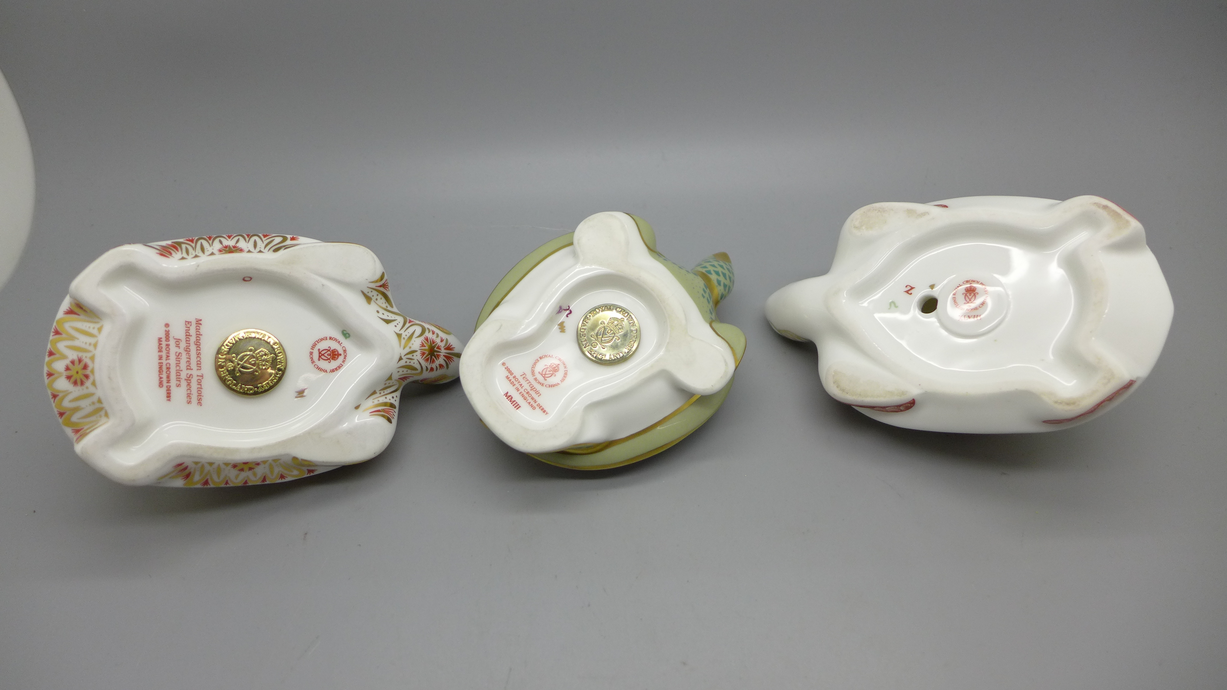 Three Royal Crown Derby Paperweights - Madagascan Tortoise, from the endangered species range for - Bild 3 aus 3