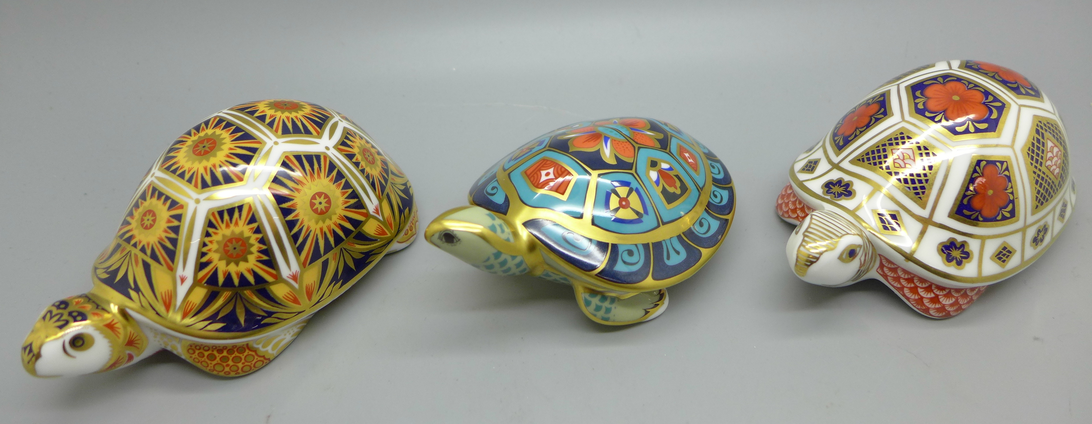 Three Royal Crown Derby Paperweights - Madagascan Tortoise, from the endangered species range for