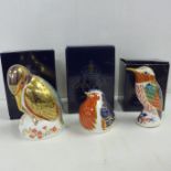 Three Royal Crown Derby Bird paperweights - Kingfisher, Hummingbird and Robin all with gold stoppers