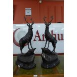 A pair of large French style bronze stags, on black marble plinths