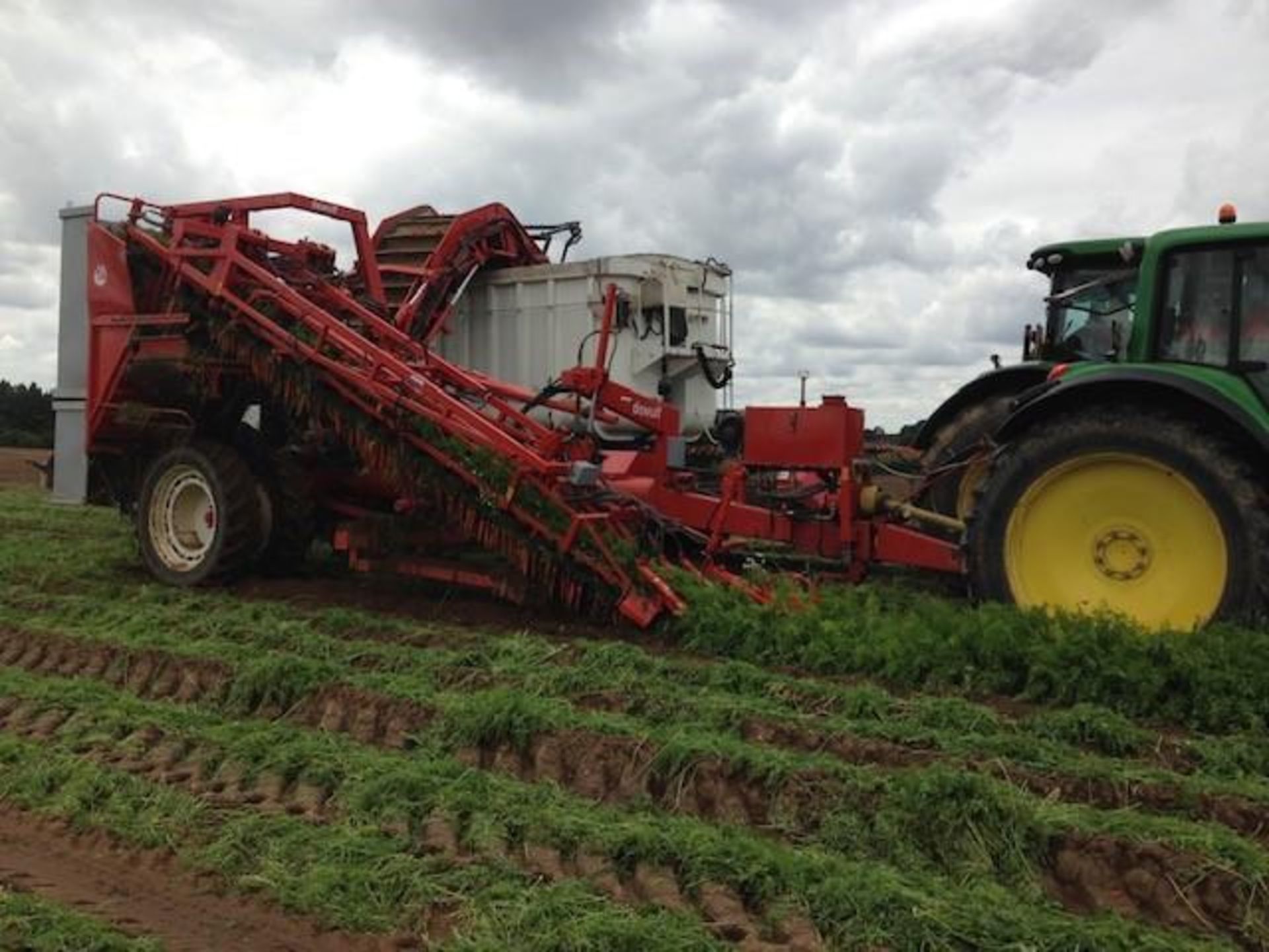 Dewulf GK11s Carrot Harvester