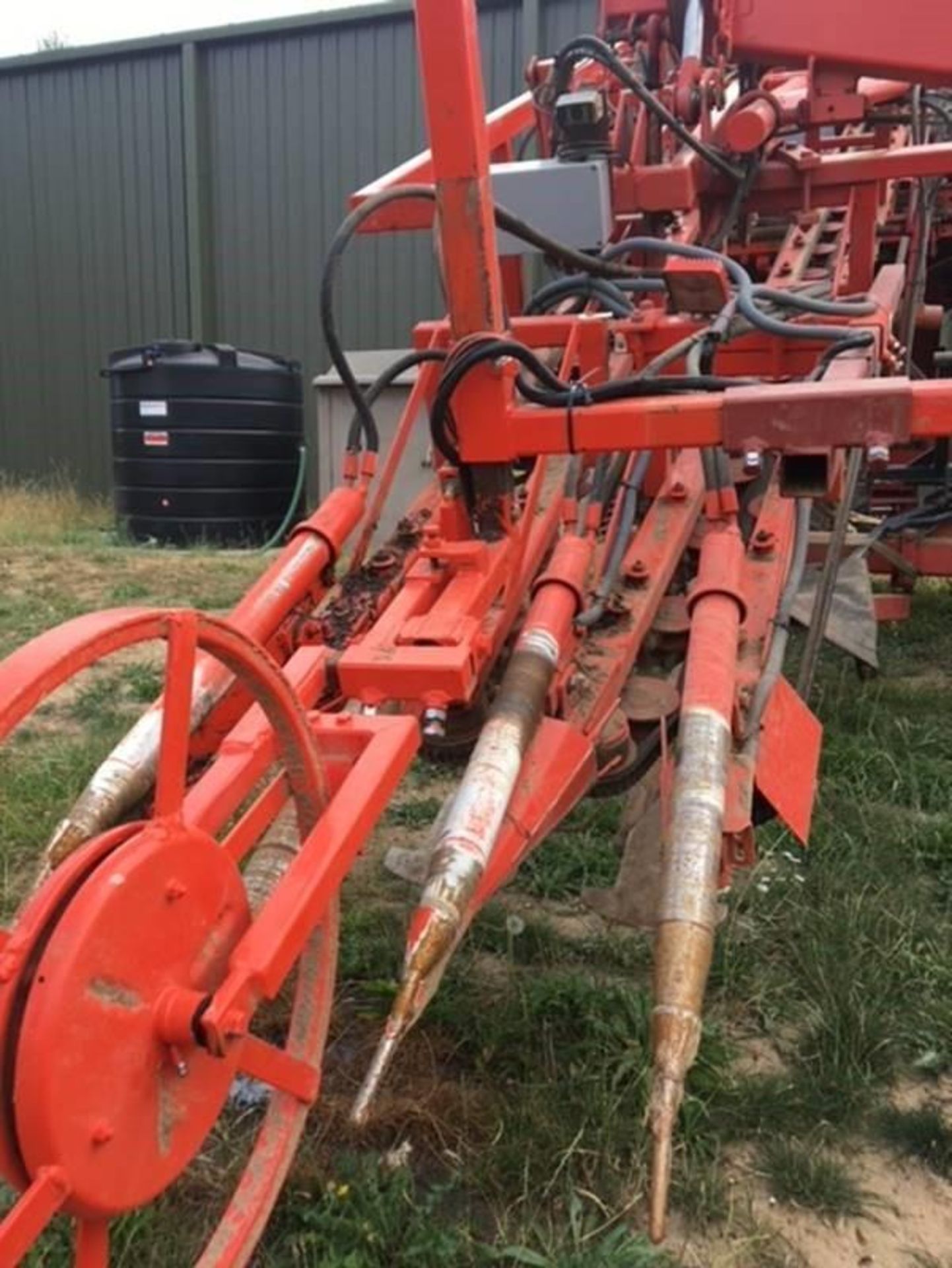 Dewulf GK11s Carrot Harvester - Image 4 of 10