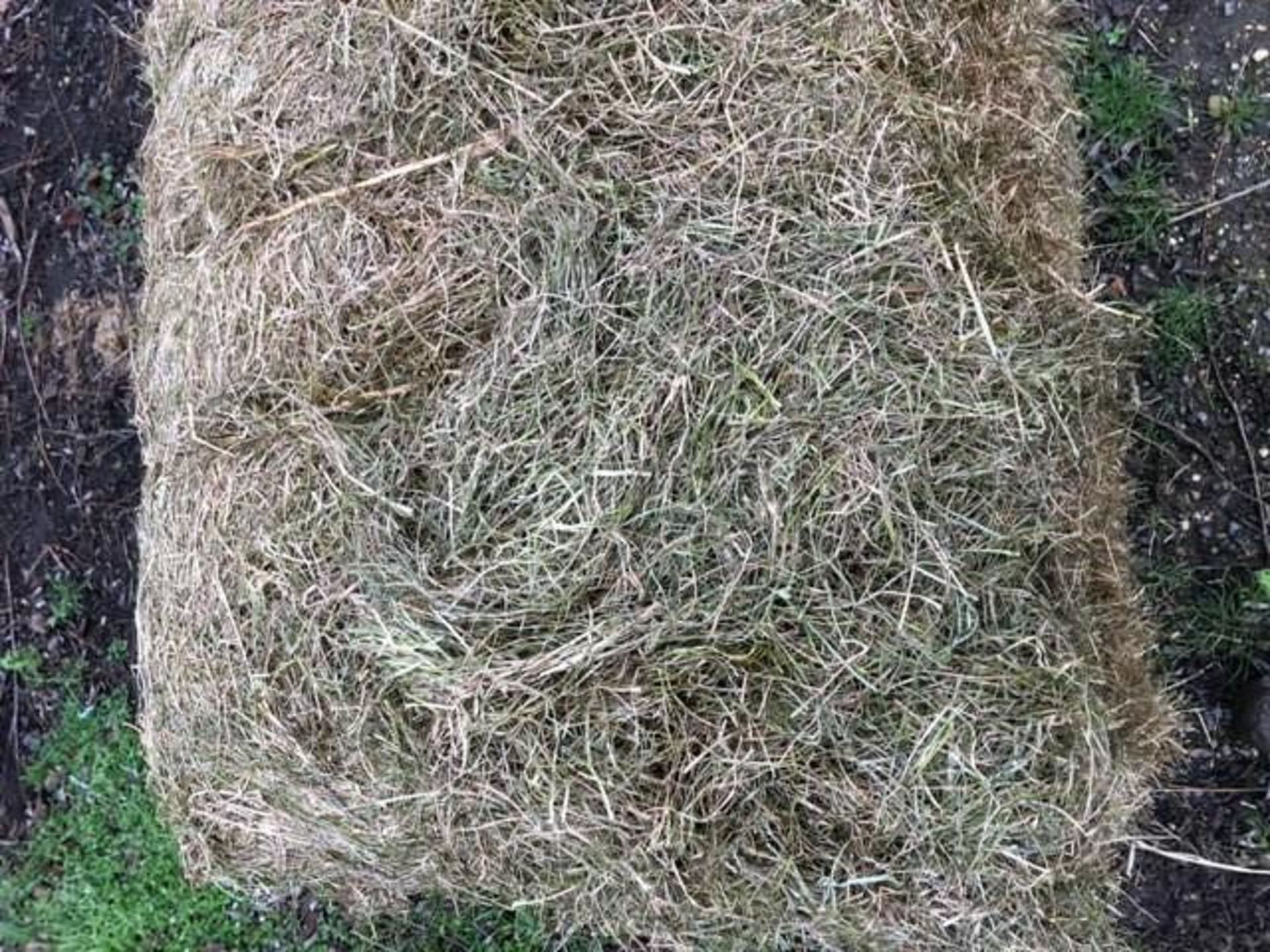 100x 2nd Cut Ryegrass Haylage 2020 - Image 3 of 3