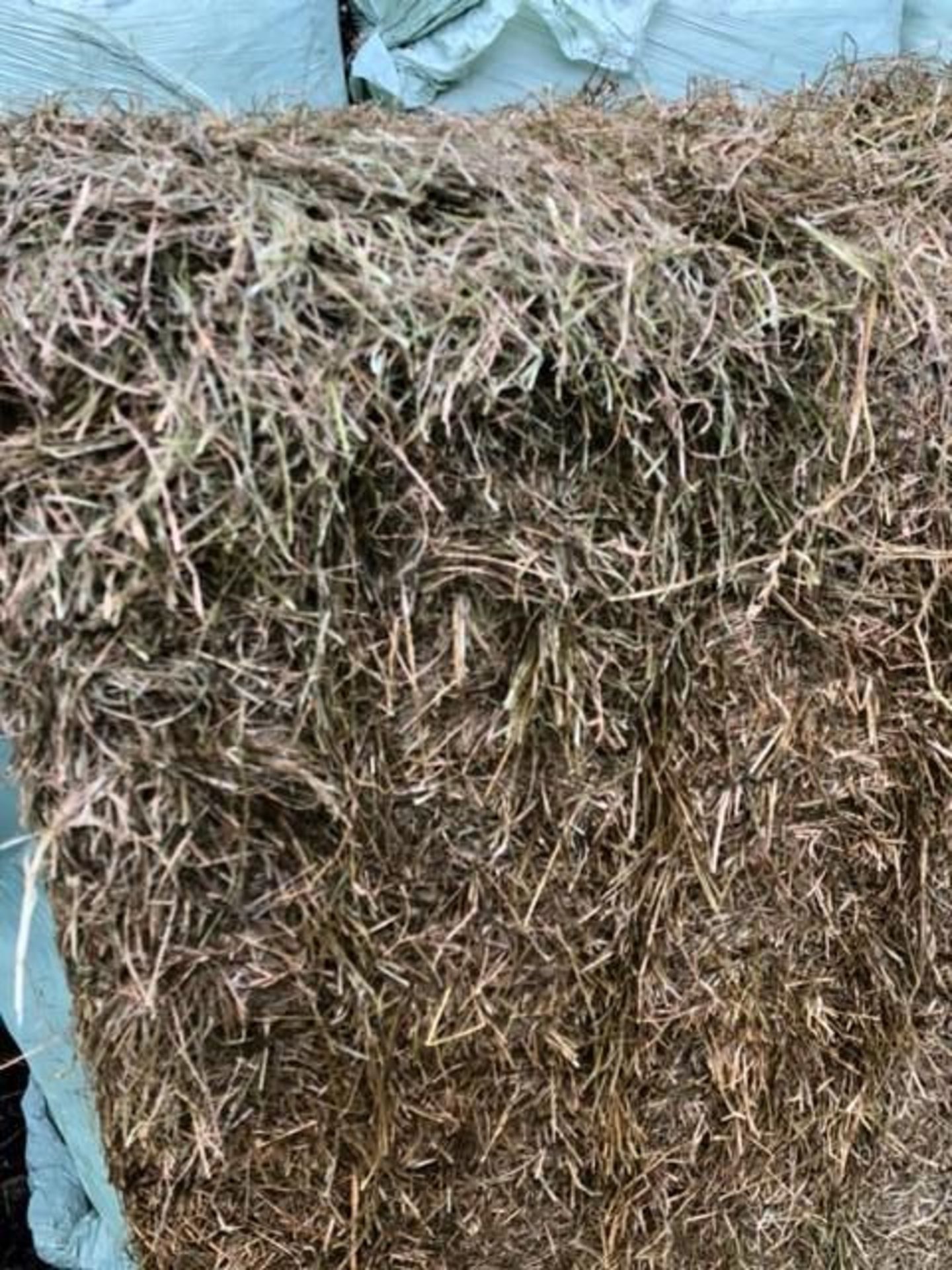 100x 2nd Cut Ryegrass Haylage 2020 - Image 2 of 3
