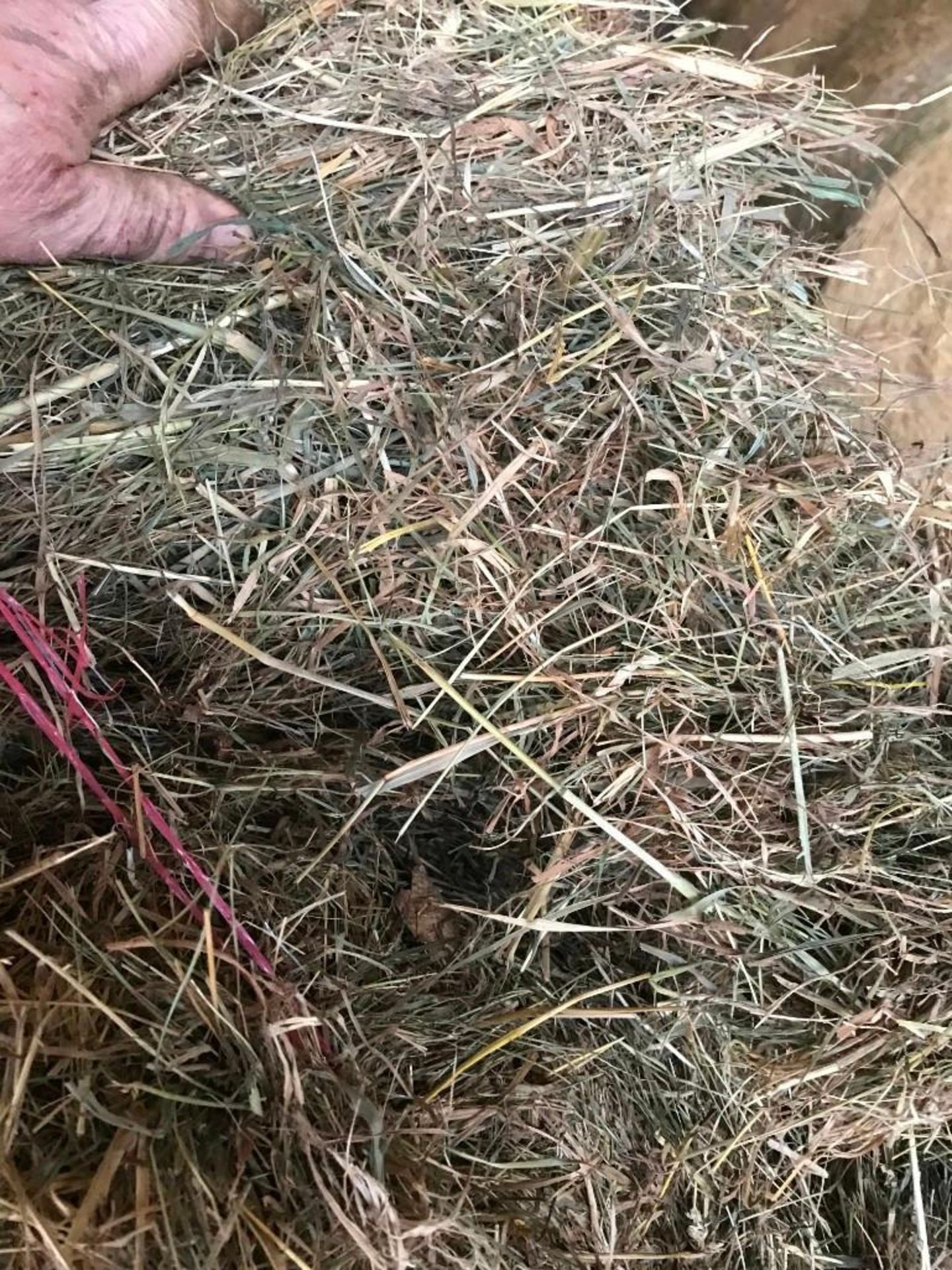 20x Meadow Hay - Image 4 of 4