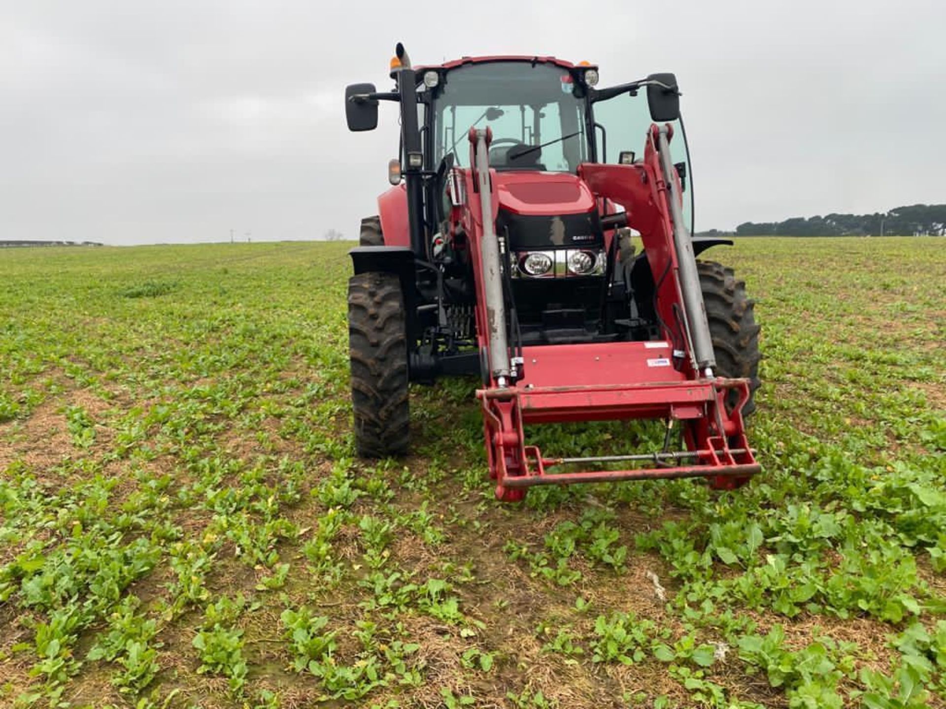 Case 115U with Case LRZ 120 Loader - Image 8 of 12