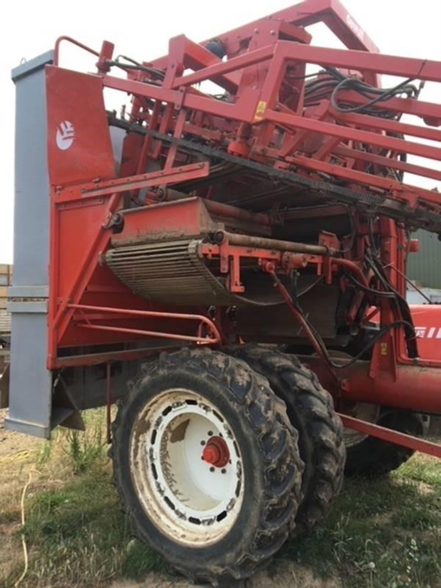 Dewulf GK11s Carrot Harvester - Image 2 of 10