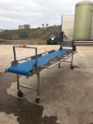 Stainless Steel Conveyor