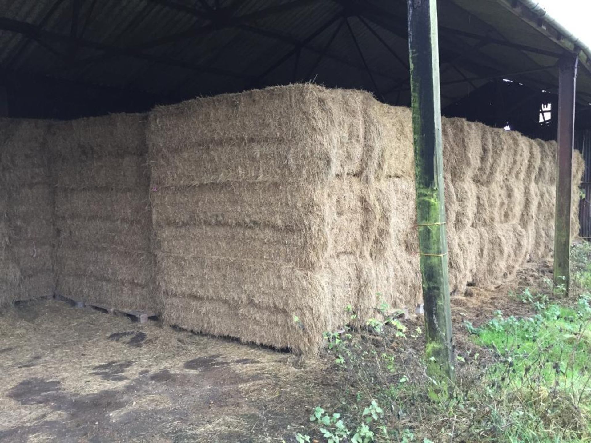 85 MF 2270 90x120x240 Bales Only Meadow Hay in a barn - 48t approx. Robert Lenton Ltd., West Farm, P