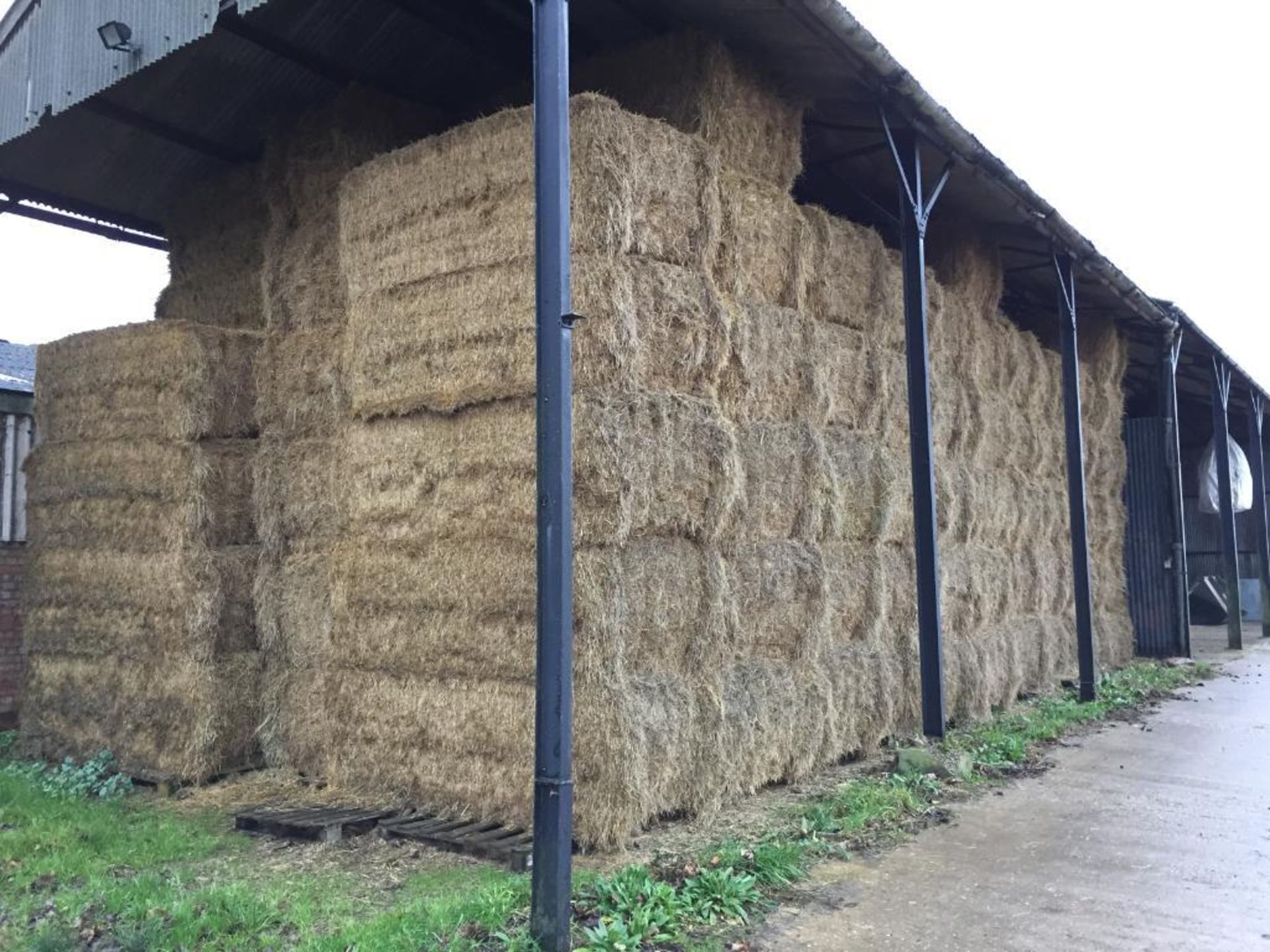 85 MF 2270 90x120x240 Bales Only Meadow Hay in a barn - 43t approx. Robert Lenton Ltd., Corpus Chris