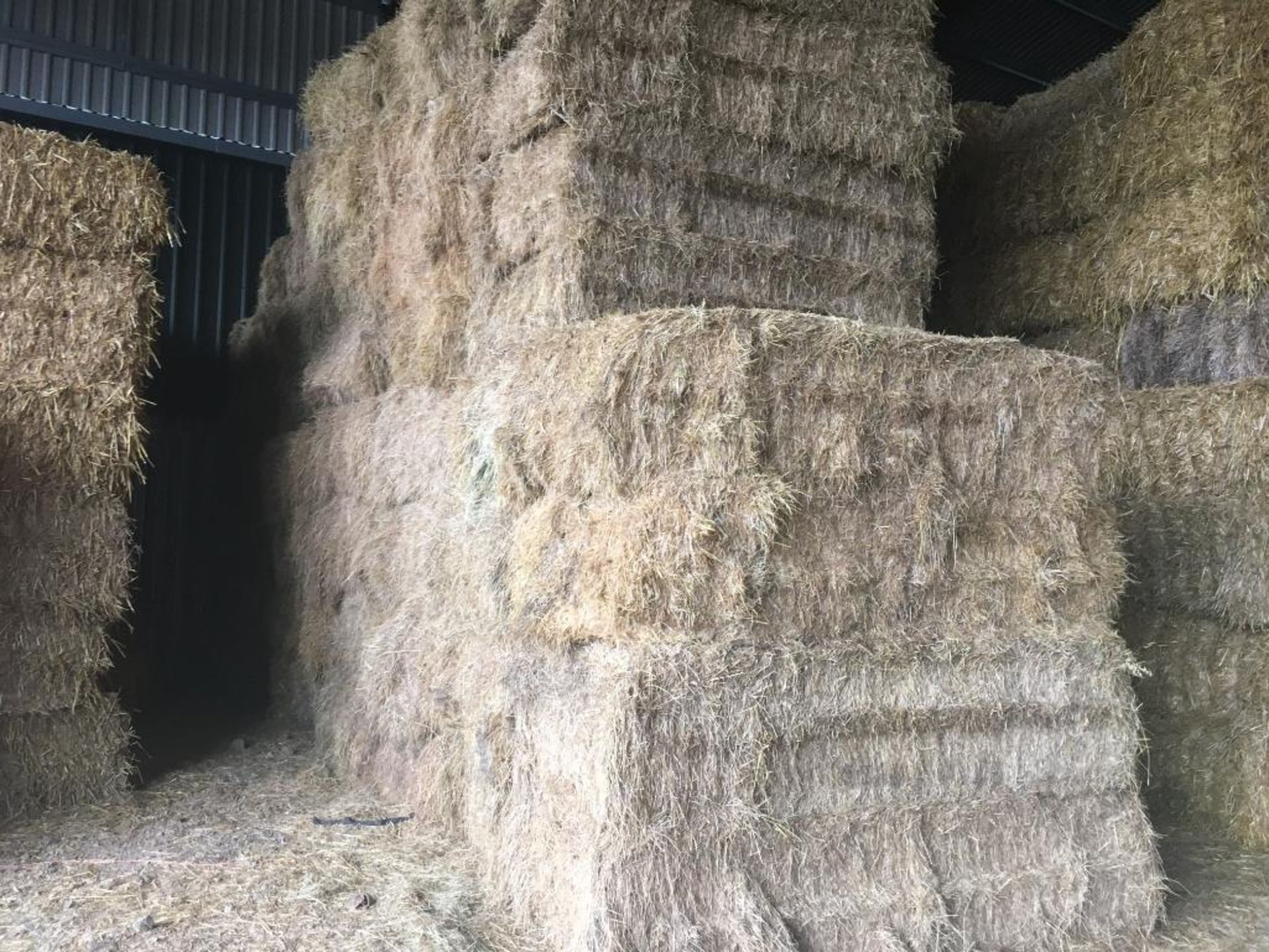 40 Quadrant Bales Only Mixture Hay in a barn. CE Schwier and Son, Burleigh Hill Farm, PE27 3LY