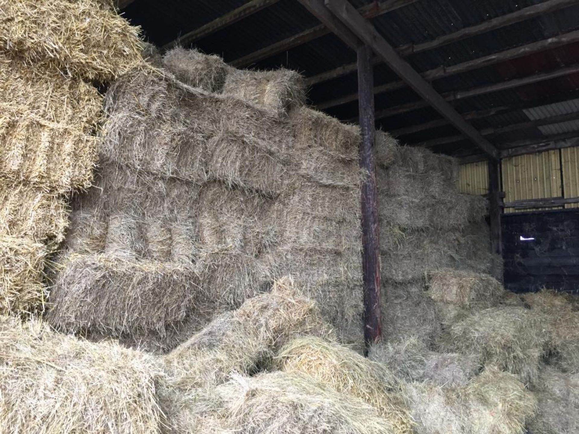 500 Conventional Flat 8 Bales only Meadow Hay in a barn. J T Lines and Son, Papley Grove Farm, PE19