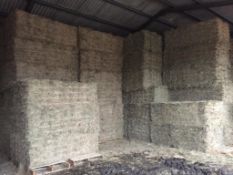 500 Flat 8 Bales only Meadow Hay in a barn in Barron 21 bale packs - 10t approx. Equifeedz Ltd., Rav