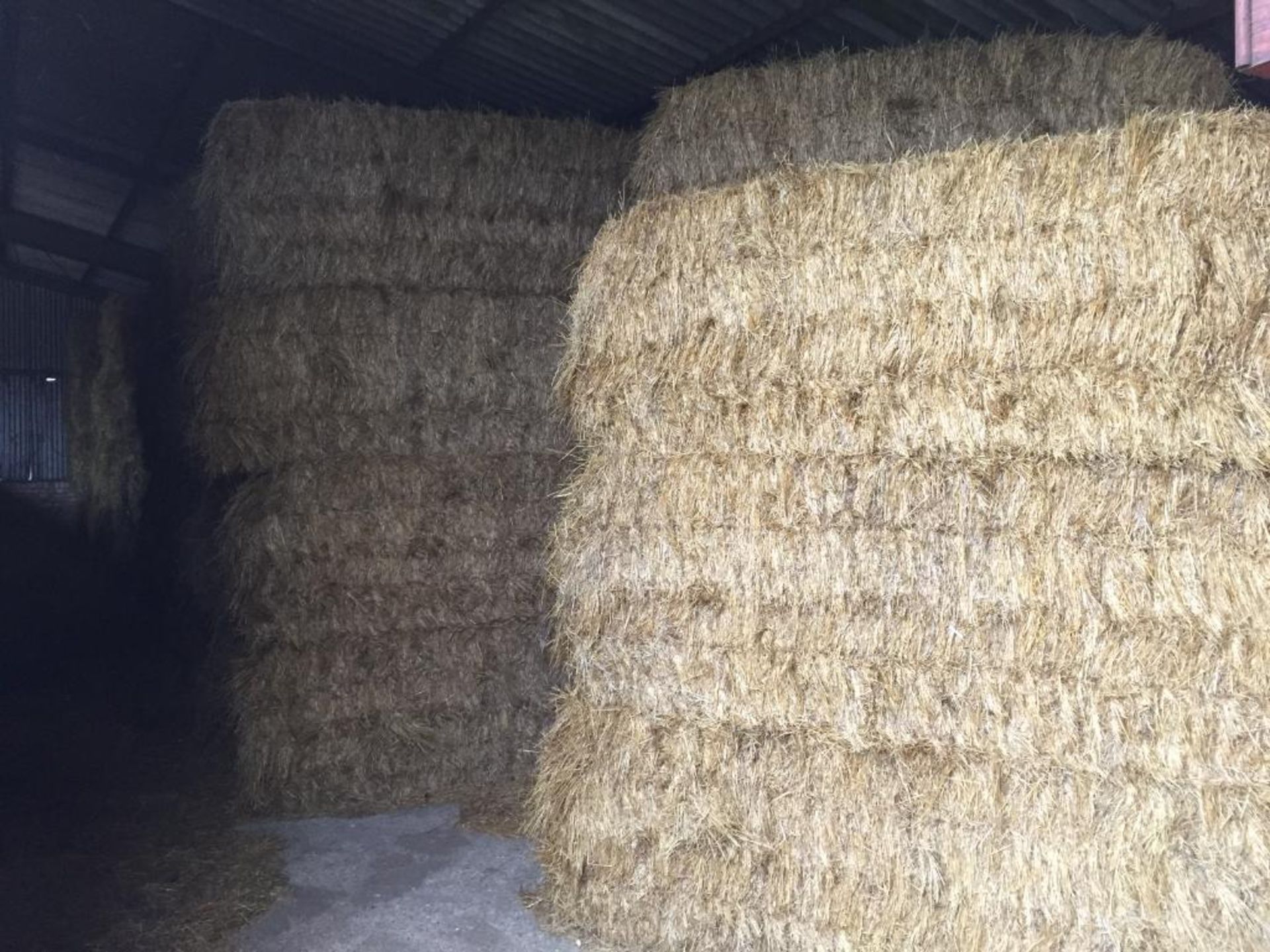 118 Euro Bales Only Rye Grass Hay in a barn Waresley Farms Ltd., Crooked Billet Farm, SG19 3BP