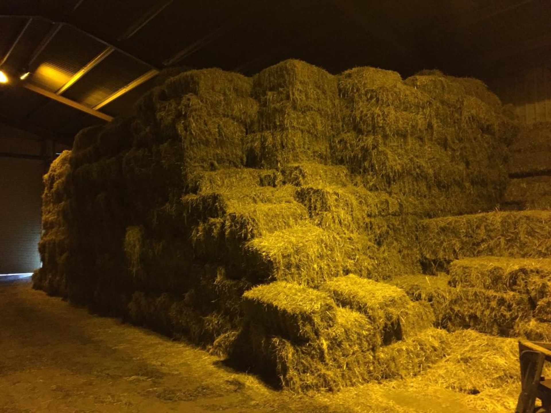 500 Conventional Flat 8 Bales approx 2019 Rye Grass Hay in a barn. Waresley Farms Ltd., Crooked Bill