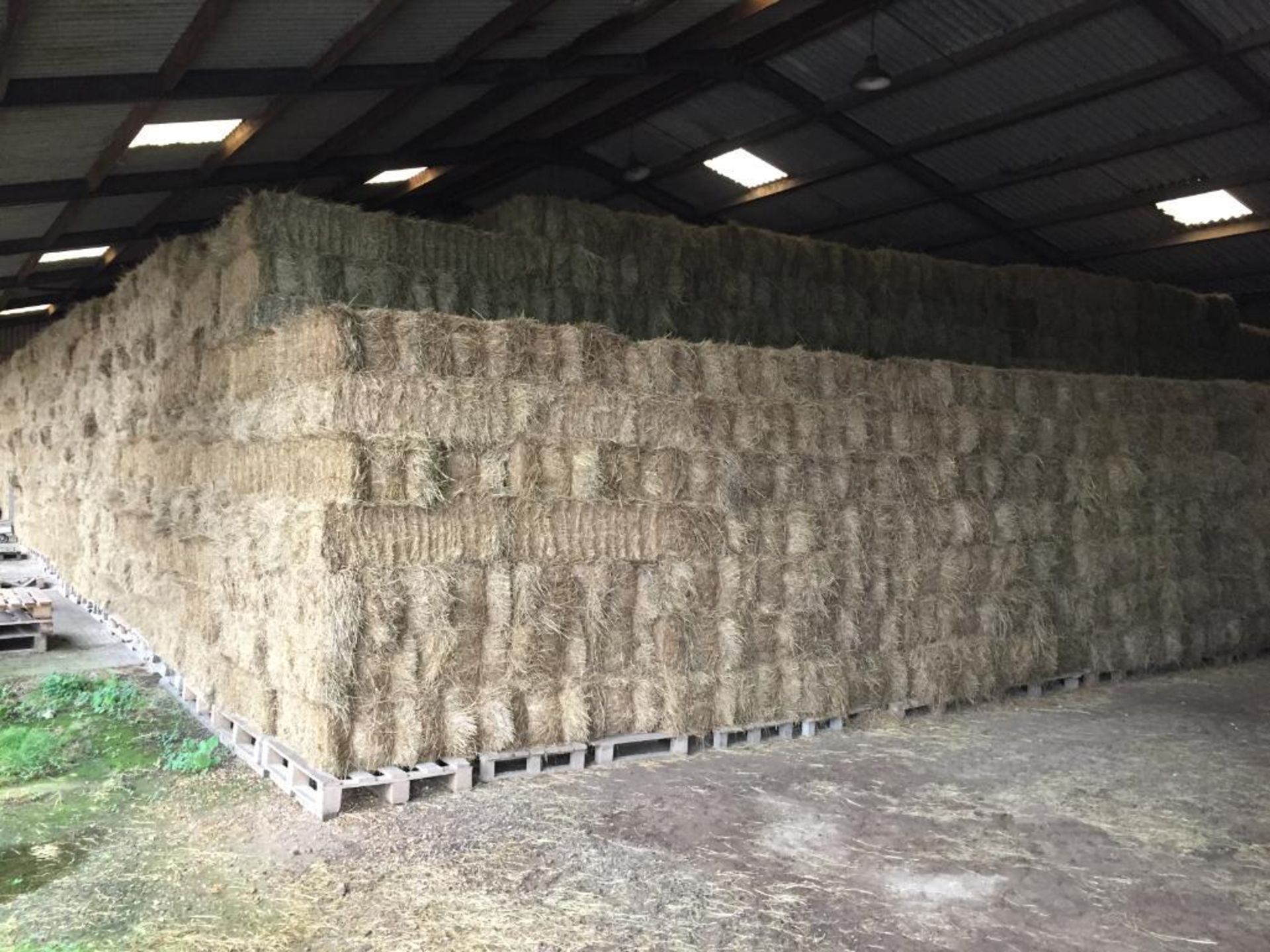 300 Flat 8 Bales only Meadow Hay in a barn. L. Radford Esq., Geaves Farm, PE27 5HG
