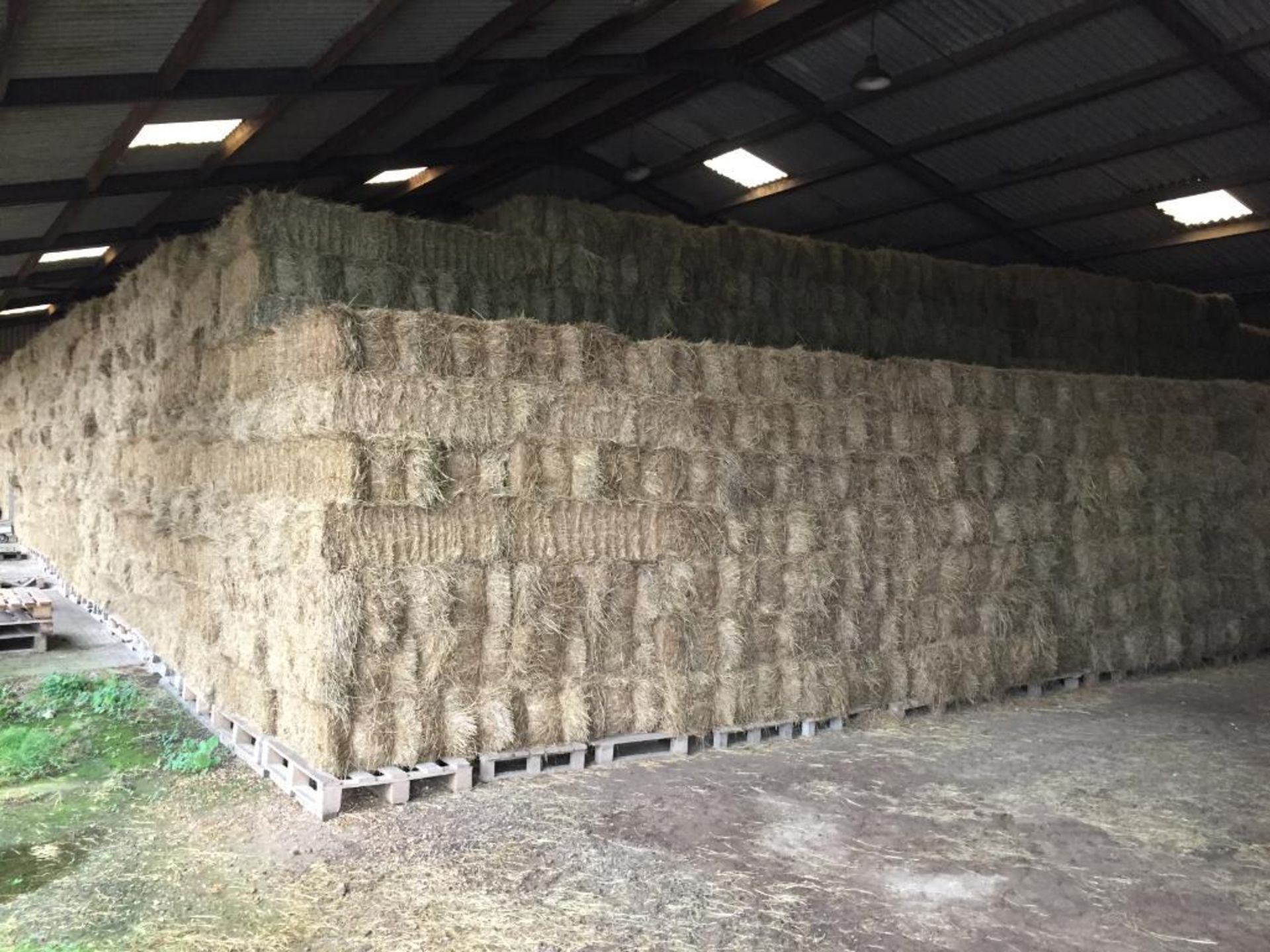 400 Flat 8 Bales only Meadow Hay in a barn. L. Radford Esq., Geaves Farm, PE27 5HG