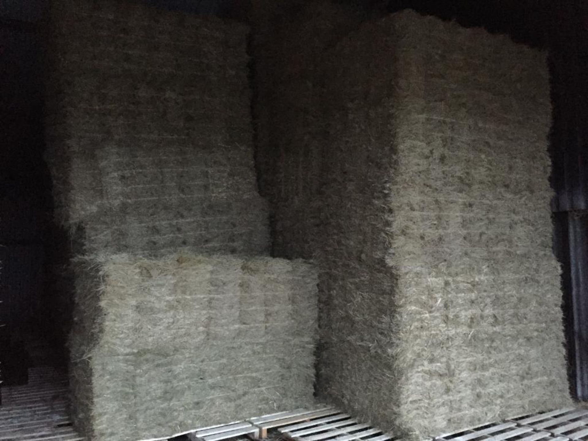 500 Flat 8 Bales only Meadow Hay in a barn in Barron 21 bale packs - 10t approx. Equifeedz Ltd., Old