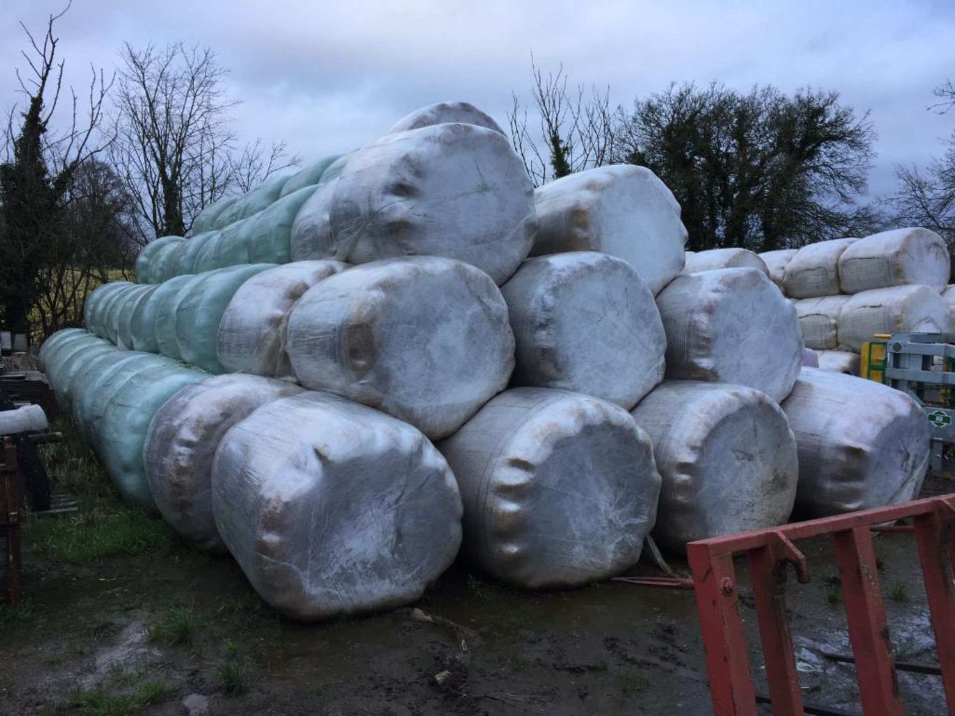 20 Welger 4ft Round Bales only Meadow Silage Wrapped Outside P A Cade Contractors, Paddock Farm, PE1