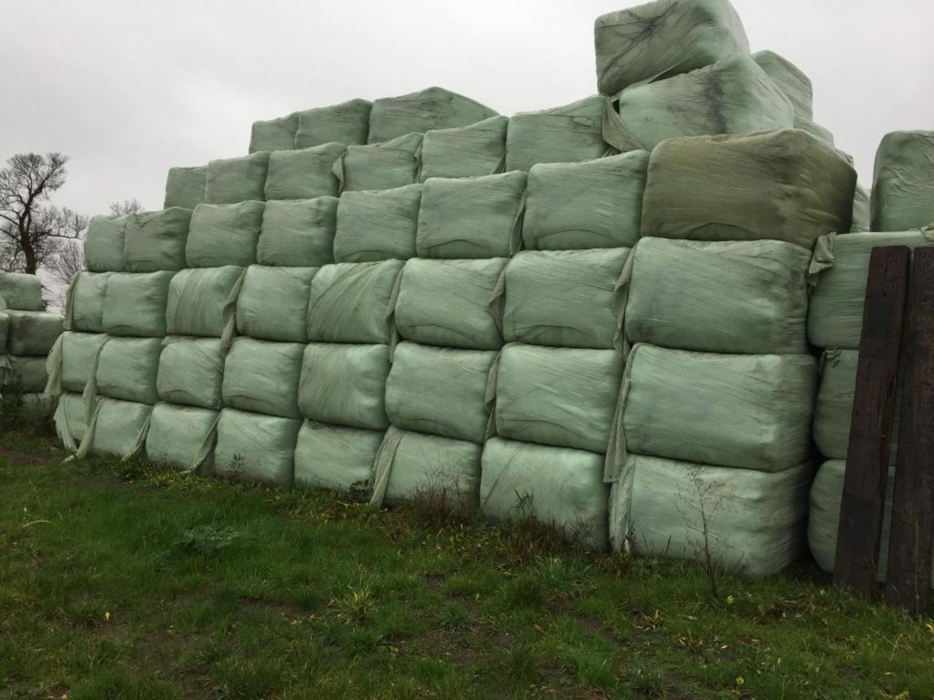 60 90x160x120 8 String Bales Only 2019 Rye Vetch Haylage Outside - 24t approx. DC and K Rolls, Copy