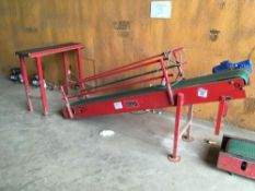 2.5m Tong Engineering angle conveyor with roller table 3ph