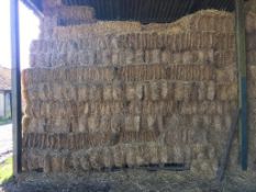 150 x Conventional Ryegrass Bales