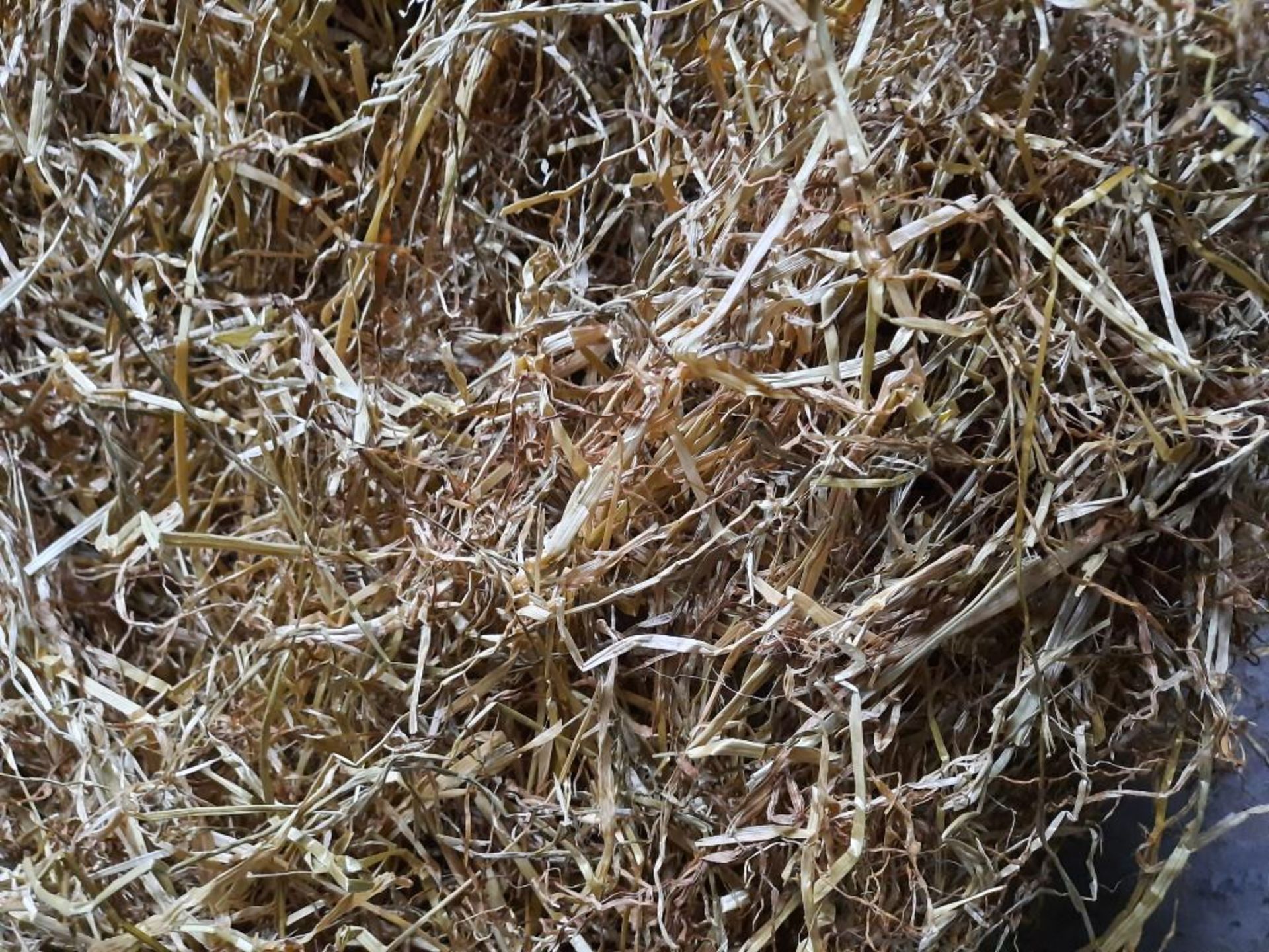 200 x Haylage Bales - 1st Cut Rye - Image 2 of 2