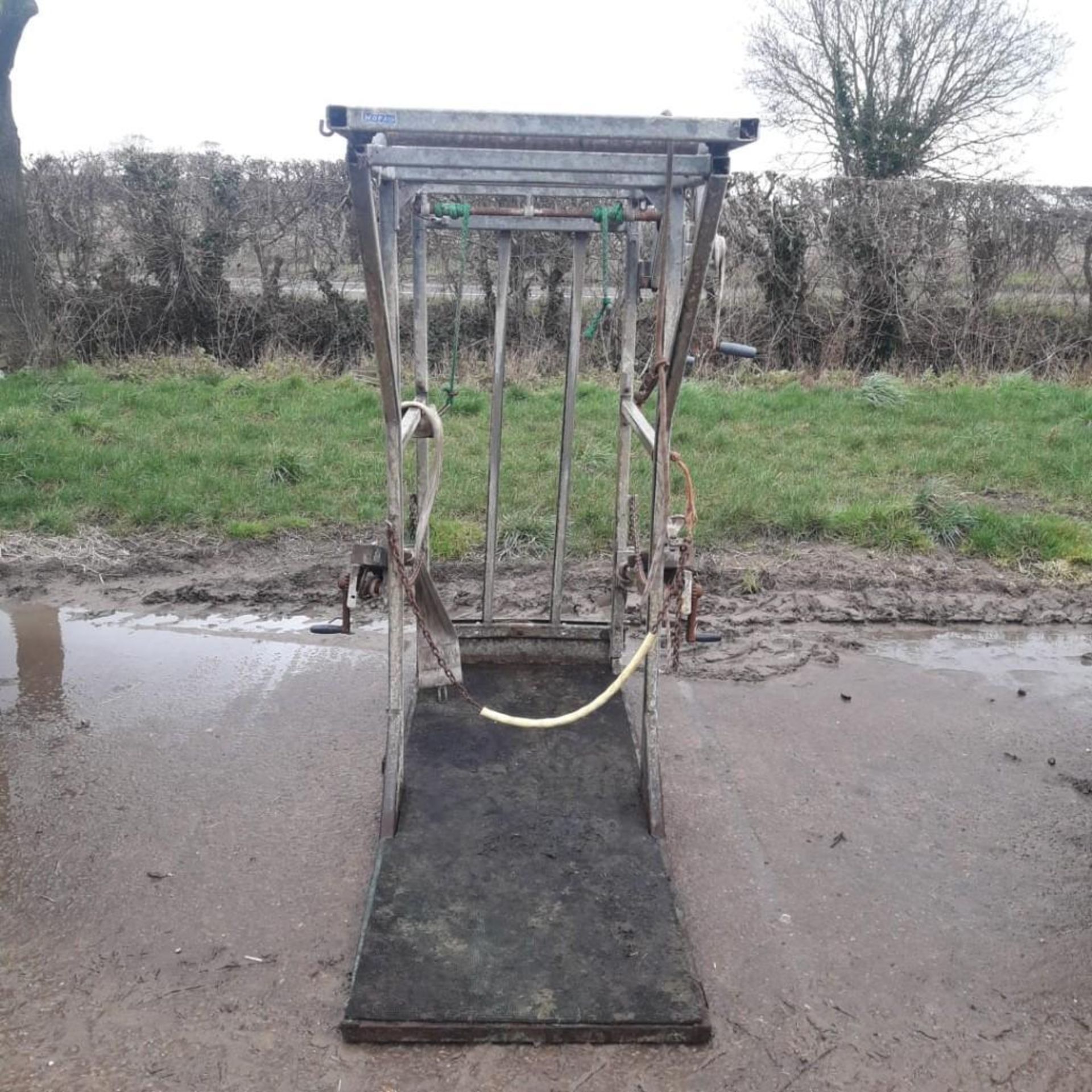 Wopa Foot Trimming Cattle Crush