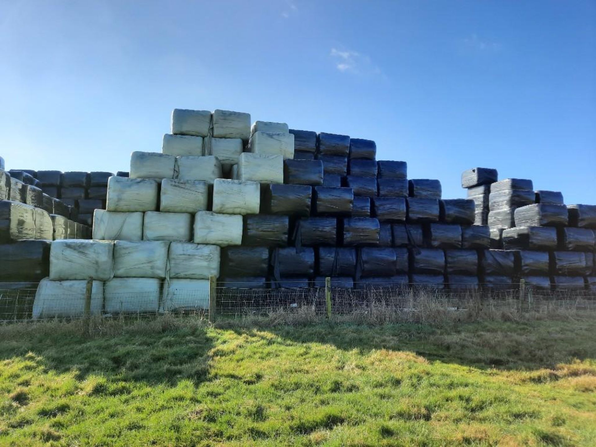 250 x Haylage Bales - 1st Cut Seed